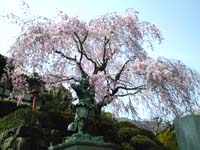 正法寺